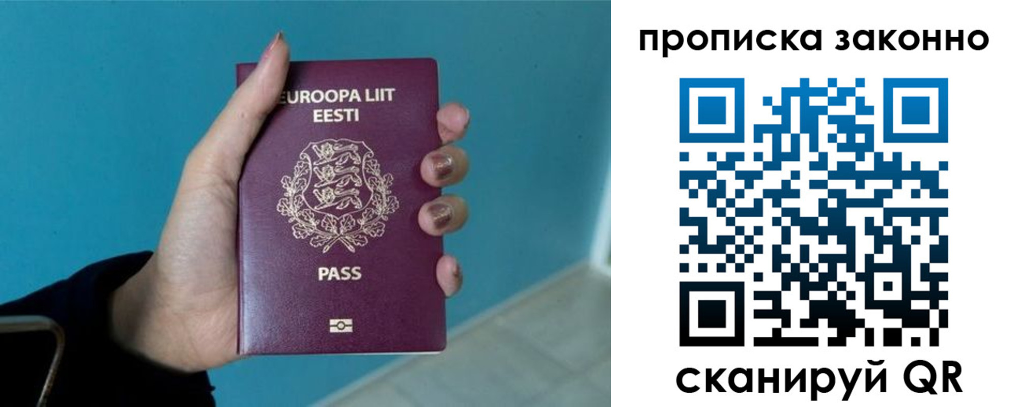 прописка гарантия в Луге